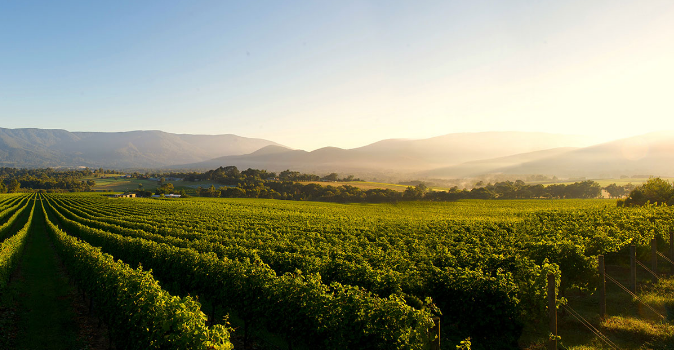 Yarra Valley wineries