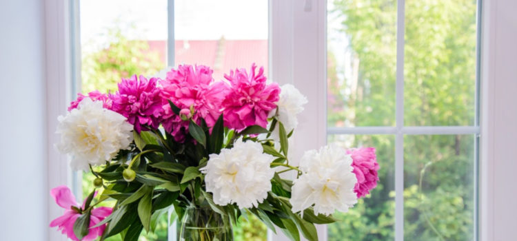 5 Tips to Remember While Buying Fresh Flowers