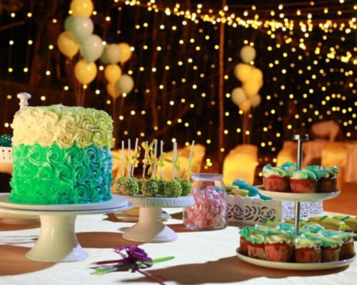 From Invitations to Cleanup: What to Expect from a Birthday Party Event Planner